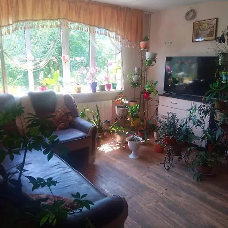 U Zumera * Krivorovnya