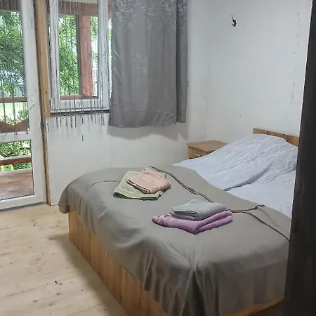 U Zumera Krivorovnya