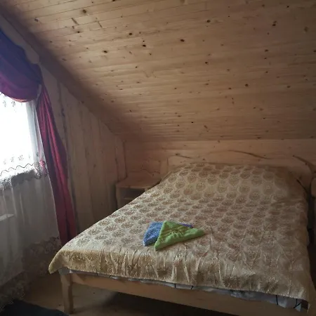 U Zumera Guest house Krivorovnya