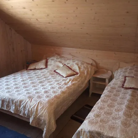 U Zumera Guest house Krivorovnya