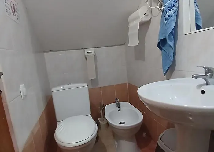 Pensionat U Zumera Krivorovnya
