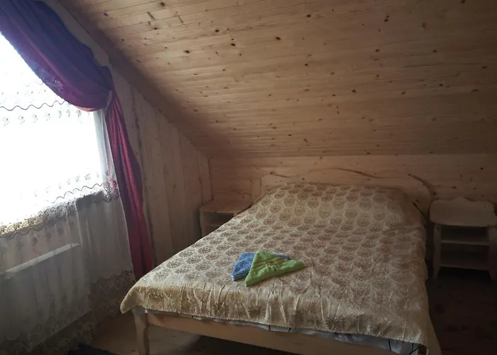 U Zumera Pensionat Krivorovnya