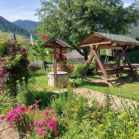 U Zumera בית הארחה Krivorovnya