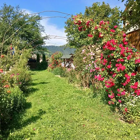 U Zumera בית הארחה