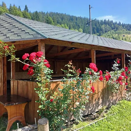 U Zumera בית הארחה *