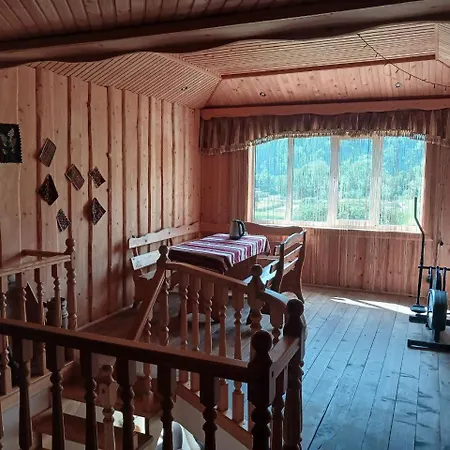 U Zumera Krivorovnya