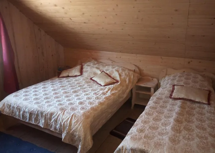 U Zumera Konukevi Krivorovnya